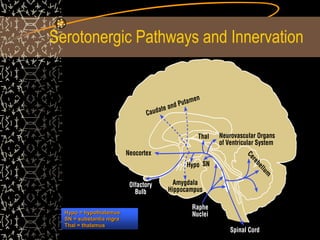 Serotonergic Pathways and Innervation
Hypo = hypothalamus
SN = substantia nigra
Thal = thalamus
 