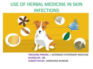 USE OF HERBAL MEDICINE IN SKIN
INFECTIONS
TRACKING PROGM. :- ALTERNATE VETERINARY MEDICINE
GUIDED BY:- DR.
SUBMITTED BY:- DARSHANA SHINGNE
 