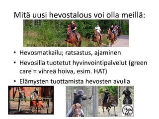 Mitä uusi hevostalous voi olla meillä:
• Hevosmatkailu; ratsastus, ajaminen
• Hevosilla tuotetut hyvinvointipalvelut (green
care = vihreä hoiva, esim. HAT)
• Elämysten tuottamista hevosten avulla
Matkailitila Iso-Herttua
Rohan Talli
 