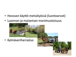 • Hevosen käyttö metsätyössä (luontoarvot)
• Luonnon ja maiseman monimuotoisuus
• Kylmäveriharrastus
 