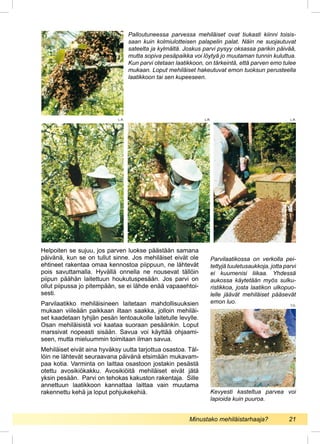 Helpoiten se sujuu, jos parven luokse päästään samana
päivänä, kun se on tullut sinne. Jos mehiläiset eivät ole
ehtineet rakentaa omaa kennostoa piippuun, ne lähtevät
pois savuttamalla. Hyvällä onnella ne nousevat tällöin
piipun päähän laitettuun houkutuspesään. Jos parvi on
ollut piipussa jo pitempään, se ei lähde enää vapaaehtoi-
sesti.
Parvilaatikko mehiläisineen laitetaan mahdollisuuksien
mukaan viileään paikkaan iltaan saakka, jolloin mehiläi-
set kaadetaan tyhjän pesän lentoaukolle laitetulle levylle.
Osan mehiläisistä voi kaataa suoraan pesäänkin. Loput
marssivat nopeasti sisään. Savua voi käyttää ohjaami-
seen, mutta mieluummin toimitaan ilman savua.
Mehiläiset eivät aina hyväksy uutta tarjottua osastoa. Täl-
löin ne lähtevät seuraavana päivänä etsimään mukavam-
paa kotia. Varminta on laittaa osastoon jostakin pesästä
otettu avosikiökakku. Avosikiöitä mehiläiset eivät jätä
yksin pesään. Parvi on tehokas kakuston rakentaja. Sille
annettuun laatikkoon kannattaa laittaa vain muutama
rakennettu kehä ja loput pohjukekehiä.
Palloutuneessa parvessa mehiläiset ovat tiukasti kiinni toisis-
saan kuin kolmiulotteisen palapelin palat. Näin ne suojautuvat
sateelta ja kylmältä. Joskus parvi pysyy oksassa parikin päivää,
mutta sopiva pesäpaikka voi löytyä jo muutaman tunnin kuluttua.
Kun parvi otetaan laatikkoon, on tärkeintä, että parven emo tulee
mukaan. Loput mehiläiset hakeutuvat emon tuoksun perusteella
laatikkoon tai sen kupeeseen.
Kevyesti kasteltua parvea voi
lapioida kuin puuroa.
Parvilaatikossa on verkolla pei-
tettyjä tuuletusaukkoja, jotta parvi
ei kuumenisi liikaa. Yhdessä
aukossa käytetään myös sulku-
ristikkoa, josta laatikon ulkopuo-
lelle jäävät mehiläiset pääsevät
emon luo.
L.R. L.R. L.R.
T.O.
Minustako mehiläistarhaaja?	 21
 
