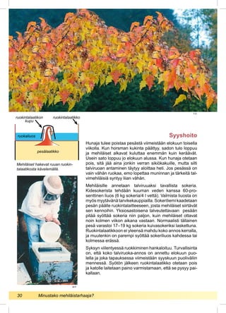Syyshoito
Hunaja tulee poistaa pesästä viimeistään elokuun toisella
viikolla. Kun horsman kukinta päättyy, sadon tulo loppuu
ja mehiläiset alkavat kuluttaa enemmän kuin keräävät.
Usein sato loppuu jo elokuun alussa. Kun hunaja otetaan
pois, sitä jää aina jonkin verran sikiökakuille, mutta silti
talviruoan antaminen täytyy aloittaa heti. Jos pesässä on
vain vähän ruokaa, emo lopettaa muninnan ja tärkeitä tal-
vimehiläisiä syntyy liian vähän.
Mehiläisille annetaan talviruuaksi tavallista sokeria.
Kidesokerista tehdään kuuman veden kanssa 60-pro-
senttinen liuos (6 kg sokeria/4 l vettä). Valmista liuosta on
myös myytävänä tarvikekauppiailla. Sokeriliemi kaadetaan
pesän päälle ruokintalaitteeseen, josta mehiläiset siirtävät
sen kennoihin. Yksiosastoisena talveutettavaan pesään
pitää syöttää sokeria niin paljon, kuin mehiläiset ottavat
noin kolmen viikon aikana vastaan. Normaalisti tällainen
pesä varastoi 17–19 kg sokeria kuivasokeriksi laskettuna.
Ruokintalaatikkoon ei yleensä mahdu koko annos kerralla,
ja muutenkin on parempi syöttää sokeriliuos kahdessa tai
kolmessa erässä.
Syksyn viilentyessä ruokkiminen hankaloituu. Turvallisinta
on, että koko talviruoka-annos on annettu elokuun puo-
lella ja joka tapauksessa viimeistään syyskuun puoliväliin
mennessä. Syötön jälkeen ruokintalaatikko otetaan pois
ja katolle laitetaan paino varmistamaan, että se pysyy pai-
kallaan.
pesälaatikko
ruokaliuos
Mehiläiset hakevat ruuan ruokin-
talaatikosta kävelemällä.
ruokintalaatikkoruokintalaatikon
kupu
T.O.
M.P.
30 	 Minustako mehiläistarhaaja?
 