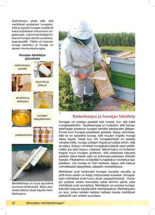 Hunajaa voi poistaa pesästä sitä mukaa, kun sitä tulee
hunajalaatikoihin. Tavallisempaa on kuitenkin, että harras-
tetarha...