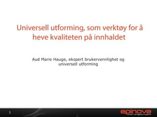 Aud Marie Hauge, ekspert brukervennlighet og
universell utforming
1
 