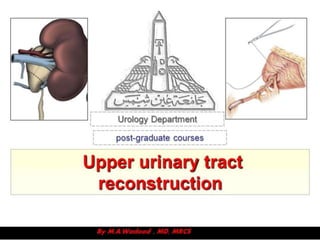 Upper urinary tract reconstruction 