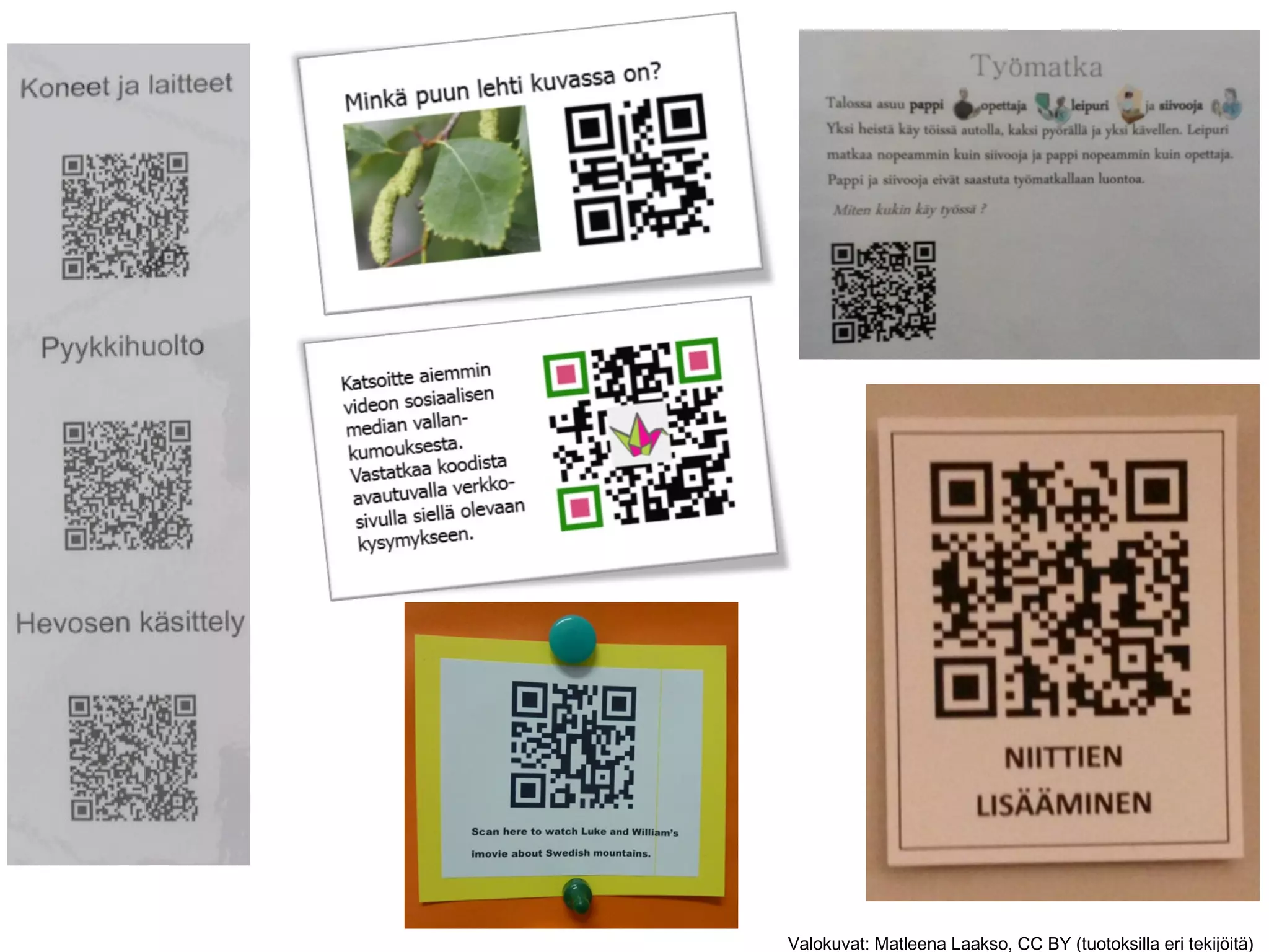 Valokuvat: Matleena Laakso, CC BY (tuotoksilla eri tekijöitä)
 