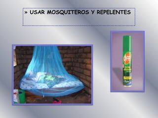 » USAR MOSQUITEROS Y REPELENTES
 