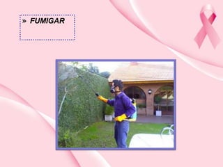 » FUMIGAR
 