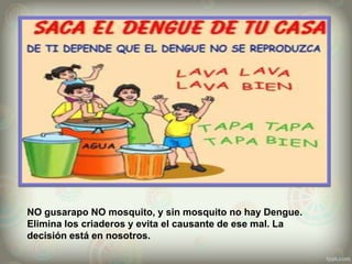 NO gusarapo NO mosquito, y sin mosquito no hay Dengue.
Elimina los criaderos y evita el causante de ese mal. La
decisión está en nosotros.
 