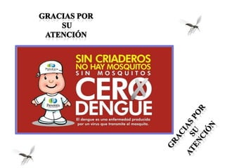 Charlas Para Pacientes: DENGUE/PREVENCIÓN 