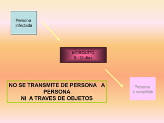 Persona
infectada
MOSQUITO
8 -12 días
Persona
susceptible
NO SE TRANSMITE DE PERSONA A
PERSONA
NI A TRAVES DE OBJETOS
 