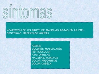 APARICIÓN DE UN BROTE DE MANCHAS ROJAS EN LA PIEL.
SINTOMAS RESFRIADO (GRIPE)
FIEBRE
DOLORES MUSCULARES
RETROOCULAR
PANTORRILAS
NAUSEAS/VOMITOS
DOLOR ABDOMINAL
DOLOR CABEZA
 