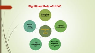 Significant
of
UUVC
Diversificat
ion of diet
Poverty
eradication
Adaptable
to severe
environme
nt
Crop
diversificat
ion
Global
food
security
Significant Role of UUVC
 