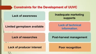 Constraints for the Development of UUVC
Lack of awareness
Limited germplasm available
Lack of researches
Inadequate marketing
supports
Lack of technical
information.
Post-harvest management
Lack of producer interest Poor recognition
 