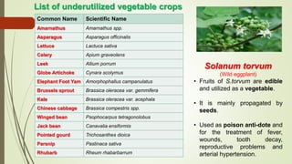 Common Name Scientific Name
Amarnathus Amarnathus spp.
Asparagus Asparagus officinalis
Lettuce Lactuca sativa
Celery Apium graveolens
Leek Allium porrum
Globe Artichoke Cynara scolymus
Elephant Foot Yam Amorphophallus campanulatus
Brussels sprout Brassica oleracea var. gemmifera
Kale Brassica oleracea var. acephala
Chinese cabbage Brassica compestris spp.
Winged bean Psophocarpus tetragonolobus
Jack bean Canavalia ensiformis
Pointed gourd Trichosanthes dioica
Parsnip Pastinaca sativa
Rhubarb Rheum rhabarbarrum
List of underutilized vegetable crops
Solanum torvum
(Wild eggplant)
• Fruits of S.torvum are edible
and utilized as a vegetable.
• It is mainly propagated by
seeds.
• Used as poison anti-dote and
for the treatment of fever,
wounds, tooth decay,
reproductive problems and
arterial hypertension.
 