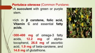 Portulaca oleracea (Common Purslane)
•A succulent with green or purple
stem.
•rich in β carotene, folic acid,
Vitamin C and essential fatty
acids.
•300-400 mg of omega-3 fatty
acids, 12.2 mg of alpha-
tocopherol, 26.6 mg of ascorbic
acid, 1.9 mg of beta-carotene, and
14.8 mg of glutathione.
 