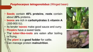 Psophocarpus tetragonolobus (Winged bean)
• Seeds contain 40% proteins, roots contain
about 20% proteins.
• beans are rich in carbohydrates & vitamin A
(300-900 IU).
• Its tender leaves make good sauce and curry.
• Flowers have a sweet taste.
• The tuber-like-roots are eaten after boiling
or frying.
• The plant is a good fodder for cattle.
• Can manage protein malnutrition.
 