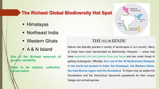 The Richest Global Biodiversity Hot Spot
 Himalayas
 Northeast India
 Western Ghats
 A & N Island
Nature has liberally painted a variety of landscapes in our country. Many
of these have been demarcated as Biodiversity Hotspots — areas that
have extremely rich and diverse flora and fauna and are under threat of
getting endangered. Officially, four out of the 36 Biodiversity Hotspots
in the world are present in India: the Himalayas, the Western Ghats,
the Indo-Burma region and the Sundaland. To these may be added the
Sundarbans and the Terrai-Duar Savannah grasslands for their unique
foliage and animal species.
•
One of the Richest reservoir of
genetic variability.
Need to be explore, collection,
conservation.
 