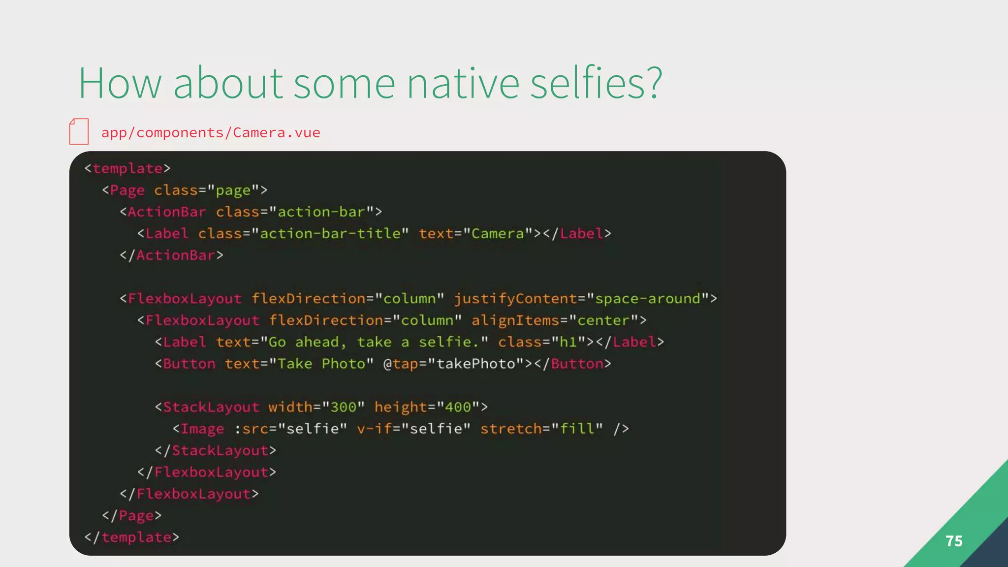 How about some native selfies?
75
app/components/Camera.vue
 