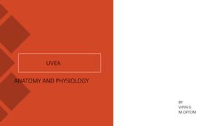 UVEA
ANATOMY AND PHYSIOLOGY
BY
VIPIN G
M.OPTOM
 