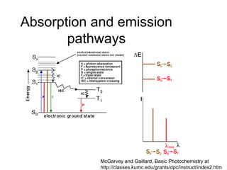 Absorption and emission 
pathways 
McGarvey and Gaillard, Basic Photochemistry at 
http://classes.kumc.edu/grants/dpc/instruct/index2.htm 
 