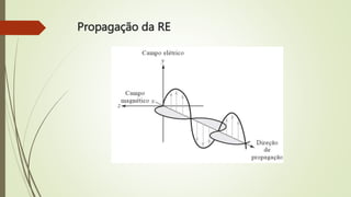 Propagação da RE
 