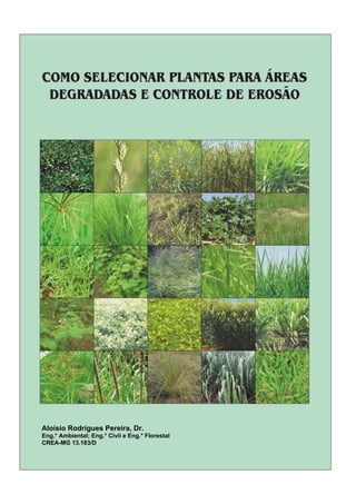 Aloisio Rodrigues Pereira, Dr.
Eng.° Ambiental; Eng.° Civil e Eng.° Florestal
CREA-MG 13.183/D
 