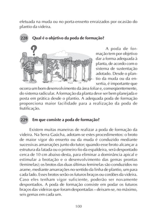 100
efetuada na muda ou no porta-enxerto enraizados por ocasião do
plantio da videira.
Qual é o objetivo da poda de formação?
A poda de for-
mação tem por objetivo
dar a forma adequada à
planta, de acordo com o
sistema de sustentação
adotado. Desde o plan-
tio da muda ou da en-
xertia, é importante que
ocorra um bom desenvolvimento da área foliar e, conseqüentemente,
do sistema radicular. A formação da planta deve ser bem planejada e
posta em prática desde o plantio. A adequada poda de formação
proporciona maior facilidade para a realização da poda de
frutificação.
Em que consiste a poda de formação?
Existem muitas maneiras de realizar a poda de formação da
videira. Na Serra Gaúcha, adotam-se estes procedimentos: o broto
de maior vigor do enxerto ou da muda é conduzido mediante
sucessivas amarrações junto do tutor; quando esse broto alcançar a
estrutura da latada ou o primeiro fio da espaldeira, será despontado
cerca de 10 cm abaixo desta, para eliminar a dominância apical e
estimular a brotação e o desenvolvimento das gemas prontas
(feminelas); os brotos das duas últimas feminelas são conduzidos no
arame, mediante amarrações no sentido da linha de plantio, um para
cada lado. Esses brotos serão os futuros braços ou cordões da videira.
Caso eles tenham vigor suficiente, poderão ser novamente
despontados. A poda de formação consiste em podar os futuros
braços das videiras que foram despontadas – deixam-se, no máximo,
seis gemas em cada um.
228
229
 