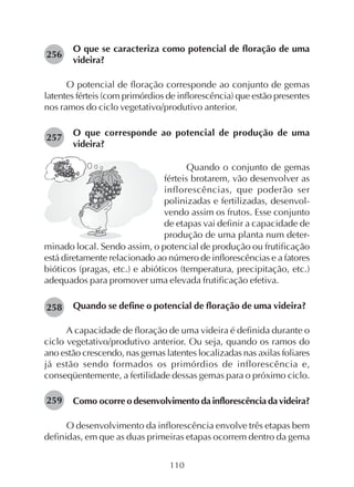 110
O que se caracteriza como potencial de floração de uma
videira?
O potencial de floração corresponde ao conjunto de gemas
latentes férteis (com primórdios de inflorescência) que estão presentes
nos ramos do ciclo vegetativo/produtivo anterior.
O que corresponde ao potencial de produção de uma
videira?
256
Quando o conjunto de gemas
férteis brotarem, vão desenvolver as
inflorescências, que poderão ser
polinizadas e fertilizadas, desenvol-
vendo assim os frutos. Esse conjunto
de etapas vai definir a capacidade de
produção de uma planta num deter-
minado local. Sendo assim, o potencial de produção ou frutificação
está diretamente relacionado ao número de inflorescências e a fatores
bióticos (pragas, etc.) e abióticos (temperatura, precipitação, etc.)
adequados para promover uma elevada frutificação efetiva.
Quando se define o potencial de floração de uma videira?
A capacidade de floração de uma videira é definida durante o
ciclo vegetativo/produtivo anterior. Ou seja, quando os ramos do
ano estão crescendo, nas gemas latentes localizadas nas axilas foliares
já estão sendo formados os primórdios de inflorescência e,
conseqüentemente, a fertilidade dessas gemas para o próximo ciclo.
Como ocorre o desenvolvimento da inflorescência da videira?
O desenvolvimento da inflorescência envolve três etapas bem
definidas, em que as duas primeiras etapas ocorrem dentro da gema
258
257
259
 