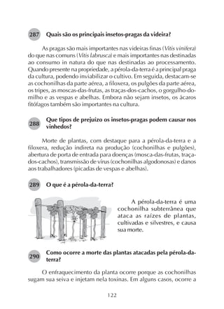 122
Quais são os principais insetos-pragas da videira?
As pragas são mais importantes nas videiras finas (Vitis vinifera)
do que nas comuns (Vitis labrusca) e mais importantes nas destinadas
ao consumo in natura do que nas destinadas ao processamento.
Quando presente na propriedade, a pérola-da-terra é a principal praga
da cultura, podendo inviabilizar o cultivo. Em seguida, destacam-se
as cochonilhas da parte aérea, a filoxera, os pulgões da parte aérea,
os tripes, as moscas-das-frutas, as traças-dos-cachos, o gorgulho-do-
milho e as vespas e abelhas. Embora não sejam insetos, os ácaros
fitófagos também são importantes na cultura.
Que tipos de prejuízo os insetos-pragas podem causar nos
vinhedos?
Morte de plantas, com destaque para a pérola-da-terra e a
filoxera, redução indireta na produção (cochonilhas e pulgões),
abertura de porta de entrada para doenças (mosca-das-frutas, traça-
dos-cachos), transmissão de vírus (cochonilhas algodonosas) e danos
aos trabalhadores (picadas de vespas e abelhas).
O que é a pérola-da-terra?
287
A pérola-da-terra é uma
cochonilha subterrânea que
ataca as raízes de plantas,
cultivadas e silvestres, e causa
sua morte.
Como ocorre a morte das plantas atacadas pela pérola-da-
terra?
O enfraquecimento da planta ocorre porque as cochonilhas
sugam sua seiva e injetam nela toxinas. Em alguns casos, ocorre a
288
289
290
 