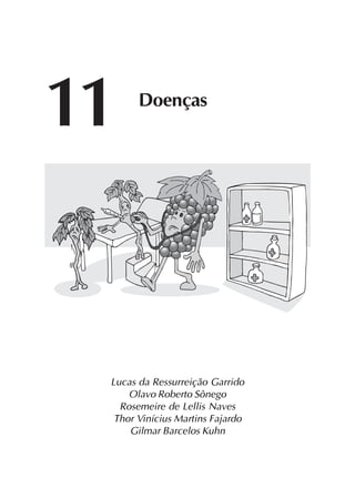 Lucas da Ressurreição Garrido
Olavo Roberto Sônego
Rosemeire de Lellis Naves
Thor Vinícius Martins Fajardo
Gilmar Barcelos Kuhn
11 Doenças
 