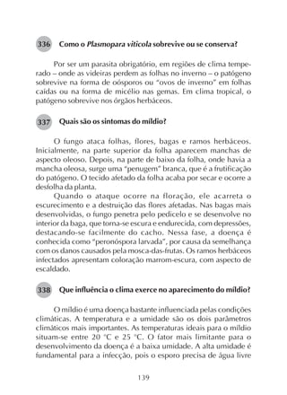 139
Como o Plasmopara viticola sobrevive ou se conserva?
Por ser um parasita obrigatório, em regiões de clima tempe-
rado – onde as videiras perdem as folhas no inverno – o patógeno
sobrevive na forma de oósporos ou “ovos de inverno” em folhas
caídas ou na forma de micélio nas gemas. Em clima tropical, o
patógeno sobrevive nos órgãos herbáceos.
Quais são os sintomas do míldio?
O fungo ataca folhas, flores, bagas e ramos herbáceos.
Inicialmente, na parte superior da folha aparecem manchas de
aspecto oleoso. Depois, na parte de baixo da folha, onde havia a
mancha oleosa, surge uma “penugem” branca, que é a frutificação
do patógeno. O tecido afetado da folha acaba por secar e ocorre a
desfolha da planta.
Quando o ataque ocorre na floração, ele acarreta o
escurecimento e a destruição das flores afetadas. Nas bagas mais
desenvolvidas, o fungo penetra pelo pedicelo e se desenvolve no
interior da baga, que torna-se escura e endurecida, com depressões,
destacando-se facilmente do cacho. Nessa fase, a doença é
conhecida como “peronóspora larvada”, por causa da semelhança
com os danos causados pela mosca-das-frutas. Os ramos herbáceos
infectados apresentam coloração marrom-escura, com aspecto de
escaldado.
Que influência o clima exerce no aparecimento do míldio?
O míldio é uma doença bastante influenciada pelas condições
climáticas. A temperatura e a umidade são os dois parâmetros
climáticos mais importantes. As temperaturas ideais para o míldio
situam-se entre 20 o
C e 25 o
C. O fator mais limitante para o
desenvolvimento da doença é a baixa umidade. A alta umidade é
fundamental para a infecção, pois o esporo precisa de água livre
337
336
338
 