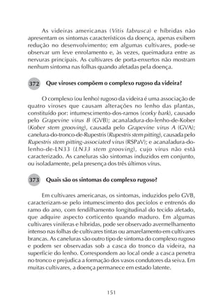 151
As videiras americanas (Vitis labrusca) e híbridas não
apresentam os sintomas característicos da doença, apenas exibem
redução no desenvolvimento; em algumas cultivares, pode-se
observar um leve enrolamento e, às vezes, queimadura entre as
nervuras principais. As cultivares de porta-enxertos não mostram
nenhum sintoma nas folhas quando afetadas pela doença.
Que viroses compõem o complexo rugoso da videira?
O complexo (ou lenho) rugoso da videira é uma associação de
quatro viroses que causam alterações no lenho das plantas,
constituído por: intumescimento-dos-ramos (corky bark), causado
pelo Grapevine virus B (GVB); acanaladura-do-lenho-de-Kober
(Kober stem grooving), causada pelo Grapevine virus A (GVA);
canelura-do-tronco-de-Rupestris (Rupestris stem pitting), causada pelo
Rupestris stem pitting-associated virus (RSPaV); e acanaladura-do-
lenho-de-LN33 (LN33 stem grooving), cujo vírus não está
caracterizado. As caneluras são sintomas induzidos em conjunto,
ou isoladamente, pela presença dos três últimos vírus.
Quais são os sintomas do complexo rugoso?
Em cultivares americanas, os sintomas, induzidos pelo GVB,
caracterizam-se pelo intumescimento dos pecíolos e entrenós do
ramo do ano, com fendilhamento longitudinal do tecido afetado,
que adquire aspecto corticento quando maduro. Em algumas
cultivares viníferas e híbridas, pode ser observado avermelhamento
intenso nas folhas de cultivares tintas ou amarelamento em cultivares
brancas. As caneluras são outro tipo de sintoma do complexo rugoso
e podem ser observadas sob a casca do tronco da videira, na
superfície do lenho. Correspondem ao local onde a casca penetra
no tronco e prejudica a formação dos vasos condutores da seiva. Em
muitas cultivares, a doença permanece em estado latente.
373
372
 