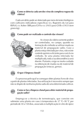 152
Como se detecta cada um dos vírus do complexo rugoso da
videira?
Cada um deles pode ser detectado por meio de testes biológicos
com cultivares indicadoras específicas (cv. Rupestris du Lot para
RSPaV, cv. Kober 5BB para GVA e cv. LN33 para GVB e LN33 stem
grooving).
Como pode ser realizado o controle das viroses?
374
375
As viroses da videira somente podem
ser controladas, no campo, quando na
formação do vinhedo se utilizar muda ou
material de propagação sadio. Caso a
planta esteja infectada por vírus, não existe
controle químico eficiente para curá-la no
vinhedo. Se uma planta infectada for
multiplicada, toda a sua descendência será
doente. Portanto, exige-se muito cuidado
na obtenção de mudas ou de material de
propagação (estacas, gemas).
O que é limpeza clonal?
É o processo pelo qual se consegue obter plantas livres de vírus
a partir de plantas infectadas. Sua utilização é necessária sempre que
não se dispõe de nenhuma planta sadia de uma determinada cultivar.
Como se faz a limpeza clonal para obter material de propa-
gação sadio?
Emprega-se a técnica de termoterapia, que consiste em
submeter uma planta em vaso à temperatura de 37 o
C–38 o
C por
período de 30 a 150 dias, associada à multiplicação in vitro de ápice
376
377
 