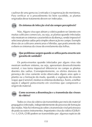 153
caulinar de uma gema ou à retirada e à regeneração do meristema.
Para verificar se o procedimento foi bem sucedido, as plantas
originadas desse tratamento devem ser indexadas.
Os sintomas de infecção viral são sempre perceptíveis?
Não. Alguns vírus que afetam a videira podem ser latentes em
muitas cultivares comerciais, ou seja, as plantas quando infectadas
não mostram os sintomas característicos da doença, sendo impossível
selecionar plantas sadias pela simples observação no campo. Exemplo
disso são as cultivares americanas e híbridas, que praticamente não
exibem os sintomas da virose do enrolamento das folhas.
Que problemas surgem quando se utiliza porta-enxerto sem
garantia de sanidade?
Os porta-enxertos quando infectados por alguns vírus não
mostram nenhum sintoma, ou seja, apresentam desenvolvimento
normal, e isso torna impossível diferenciar no campo as plantas
doentes das sadias. Conseqüentemente, os efeitos danosos da
presença do vírus somente serão observados alguns anos após o
plantio ou a formação da muda, quando a vegetação do enxerto
(copa), que é sensível, mostrar os sintomas da doença. Assim, a melhor
opção é adquirir porta-enxerto em viveiristas que comprovem a
origem do material.
Como ocorrem a disseminação e a transmissão das viroses
da videira?
Todos os vírus da videira são transmitidos por meio do material
propagativo infectado, independentemente do processo de formação
das mudas. Não há informação sobre a transmissão viral pela tesoura
de poda ou outros instrumentos. Importantes vírus da videira (GLRaV-
1 e -3, GVA, GVB) podem ser transmitidos por algumas espécies de
378
379
380
 