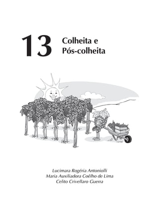 Lucimara Rogéria Antoniolli
Maria Auxiliadora Coêlho de Lima
Celito Crivellaro Guerra
13 Colheita e
Pós-colheita
 