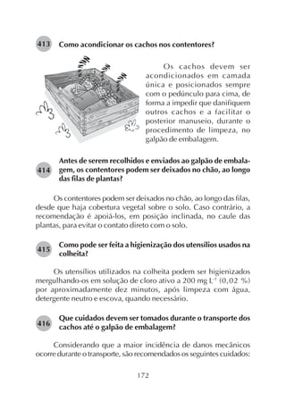 172
Como acondicionar os cachos nos contentores?413
Os cachos devem ser
acondicionados em camada
única e posicionados sempre
com o pedúnculo para cima, de
forma a impedir que danifiquem
outros cachos e a facilitar o
posterior manuseio, durante o
procedimento de limpeza, no
galpão de embalagem.
Antes de serem recolhidos e enviados ao galpão de embala-
gem, os contentores podem ser deixados no chão, ao longo
das filas de plantas?
Os contentores podem ser deixados no chão, ao longo das filas,
desde que haja cobertura vegetal sobre o solo. Caso contrário, a
recomendação é apoiá-los, em posição inclinada, no caule das
plantas, para evitar o contato direto com o solo.
Como pode ser feita a higienização dos utensílios usados na
colheita?
Os utensílios utilizados na colheita podem ser higienizados
mergulhando-os em solução de cloro ativo a 200 mg L-1
(0,02 %)
por aproximadamente dez minutos, após limpeza com água,
detergente neutro e escova, quando necessário.
Que cuidados devem ser tomados durante o transporte dos
cachos até o galpão de embalagem?
Considerando que a maior incidência de danos mecânicos
ocorre durante o transporte, são recomendados os seguintes cuidados:
414
415
416
 