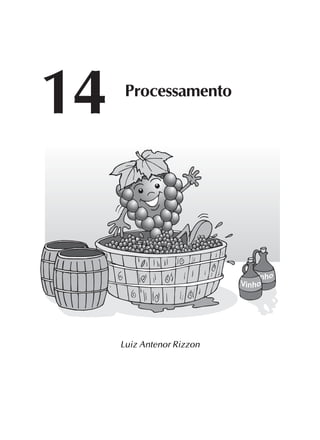 181
Luiz Antenor Rizzon
14 Processamento
 