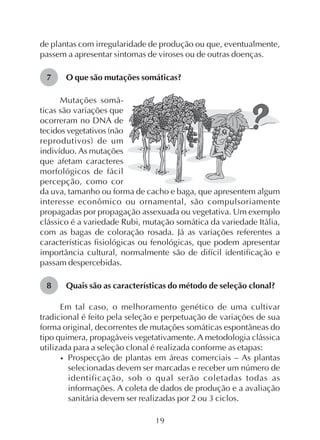 19
de plantas com irregularidade de produção ou que, eventualmente,
passem a apresentar sintomas de viroses ou de outras doenças.
O que são mutações somáticas?7
Mutações somá-
ticas são variações que
ocorreram no DNA de
tecidos vegetativos (não
reprodutivos) de um
indivíduo. As mutações
que afetam caracteres
morfológicos de fácil
percepção, como cor
da uva, tamanho ou forma de cacho e baga, que apresentem algum
interesse econômico ou ornamental, são compulsoriamente
propagadas por propagação assexuada ou vegetativa. Um exemplo
clássico é a variedade Rubi, mutação somática da variedade Itália,
com as bagas de coloração rosada. Já as variações referentes a
características fisiológicas ou fenológicas, que podem apresentar
importância cultural, normalmente são de difícil identificação e
passam despercebidas.
Quais são as características do método de seleção clonal?
Em tal caso, o melhoramento genético de uma cultivar
tradicional é feito pela seleção e perpetuação de variações de sua
forma original, decorrentes de mutações somáticas espontâneas do
tipo quimera, propagáveis vegetativamente. A metodologia clássica
utilizada para a seleção clonal é realizada conforme as etapas:
• Prospecção de plantas em áreas comerciais – As plantas
selecionadas devem ser marcadas e receber um número de
identificação, sob o qual serão coletadas todas as
informações. A coleta de dados de produção e a avaliação
sanitária devem ser realizadas por 2 ou 3 ciclos.
8
 