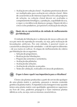 20
• Avaliação em coleção clonal – As plantas promissoras devem
ser multiplicadas para avaliação em coleção clonal. Além
de características de interesse específico em cada programa
de seleção, na coleção clonal devem ser avaliados o
comportamento fenológico, a produção, a qualidade da uva,
o vigor e a incidência de doenças e pragas. Depois de três a
cinco ciclos produtivos, já é possível a realização da seleção.
Quais são as características do método de melhoramento
por hibridação?
O método de hibridação é a obtenção de novas cultivares de
uva por meio da reprodução sexuada, ou seja, pela realização de
fecundações artificiais. Por este método, é possível reunir as
características desejáveis de variedades – e até de espécies diferentes
– de uva numa só cultivar. As etapas do melhoramento da videira
por hibridação são as seguintes:
• Seleção de progenitores.
• Realização das hibridações.
• Preparo das sementes e sementeira.
• Avaliação das plântulas.
• Avaliação das seleções.
• Avaliação de seleções avançadas.
• Testes de validação, realizados em áreas de produtores.
O que é clone e qual é sua importância para a viticultura?
Clones são plantas produzidas a partir de um tecido qualquer
de uma planta matriz e, portanto, possuem o mesmo conteúdo
genético da planta matriz. A importância da clonagem é esta: quando
temos uma planta matriz com qualidades agronômicas superiores
ou livre de vírus, podemos propagá-la e fazer inúmeras plantas
idênticas a ela, ou seja, com as mesmas características.
10
9
 