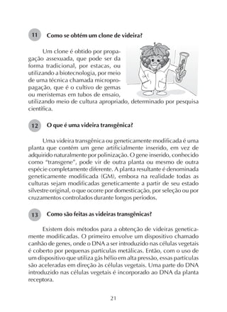 21
Como se obtém um clone de videira?11
13
12
utilizando meio de cultura apropriado, determinado por pesquisa
científica.
O que é uma videira transgênica?
Uma videira transgênica ou geneticamente modificada é uma
planta que contém um gene artificialmente inserido, em vez de
adquirido naturalmente por polinização. O gene inserido, conhecido
como “transgene”, pode vir de outra planta ou mesmo de outra
espécie completamente diferente. A planta resultante é denominada
geneticamente modificada (GM), embora na realidade todas as
culturas sejam modificadas geneticamente a partir de seu estado
silvestre original, o que ocorre por domesticação, por seleção ou por
cruzamentos controlados durante longos períodos.
Como são feitas as videiras transgênicas?
Existem dois métodos para a obtenção de videiras genetica-
mente modificadas. O primeiro envolve um dispositivo chamado
canhão de genes, onde o DNA a ser introduzido nas células vegetais
é coberto por pequenas partículas metálicas. Então, com o uso de
um dispositivo que utiliza gás hélio em alta pressão, essas partículas
são aceleradas em direção às células vegetais. Uma parte do DNA
introduzido nas células vegetais é incorporado ao DNA da planta
receptora.
Um clone é obtido por propa-
gação assexuada, que pode ser da
forma tradicional, por estacas, ou
utilizando a biotecnologia, por meio
de uma técnica chamada micropro-
pagação, que é o cultivo de gemas
ou meristemas em tubos de ensaio,
 