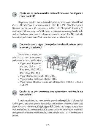 27
Quais são os porta-enxertos mais utilizados no Brasil para o
clima tropical?
Os porta-enxertos mais utilizados para o clima tropical no Brasil
são: o IAC 572 ‘Jales’ (V. tiliaefolia x 101-14), o IAC 766 ‘Campinas’
(Riparia do Traviú x V. caribaea) e o IAC 313 ‘Tropical’ (Golia x V.
caribaea). O Harmony e o SO4 estão sendo usados na região do Vale
do Rio São Francisco, para o cultivo de uvas sem sementes. No norte do
Paraná, o porta-enxerto 420A também vem sendo utilizado.
19
20
21
Deacordocomovigor,comopodemserclassificadososporta-
enxertos para videira?
Conforme o vigor, os
principais porta-enxertos
podemserassimclassificados:
• Vigor alto: Rupestris
du Lot, Golia, 1103
Paulsen, IAC 572,
IAC 766 e IAC 313.
• Vigor alto/médio: Teleki 8B e SO4.
• Vigor médio: Solferino e Kober 5BB.
• Vigor fraco: Riparia Gloire de Montpellier, 101-14, 420A e
161-49.
Quais são os porta-enxertos que apresentam resistência aos
nematóides?
Amaior resistência a nematóides provém da espécie V. champini.
Assim, porta-enxertos provenientes de cruzamentos que envolvem essa
espécie,comoHarmony,DogRidgeeSaltCreek,sãoosqueapresentam
maior tolerância a nematóides. Os porta-enxertos cultivados no Brasil
queapresentammenorresistênciaanematóidessão:161-49eRupestris
du Lot.
 