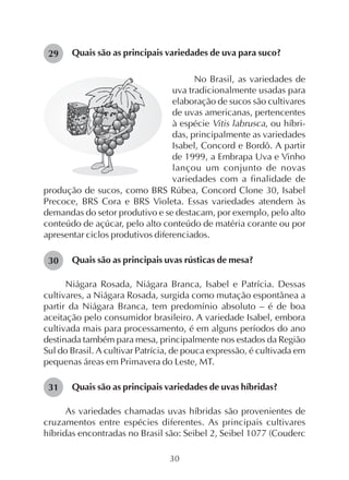 30
30
29 Quais são as principais variedades de uva para suco?
No Brasil, as variedades de
uva tradicionalmente usadas para
elaboração de sucos são cultivares
de uvas americanas, pertencentes
à espécie Vitis labrusca, ou híbri-
das, principalmente as variedades
Isabel, Concord e Bordô. A partir
de 1999, a Embrapa Uva e Vinho
lançou um conjunto de novas
variedades com a finalidade de
produção de sucos, como BRS Rúbea, Concord Clone 30, Isabel
Precoce, BRS Cora e BRS Violeta. Essas variedades atendem às
demandas do setor produtivo e se destacam, por exemplo, pelo alto
conteúdo de açúcar, pelo alto conteúdo de matéria corante ou por
apresentar ciclos produtivos diferenciados.
Quais são as principais uvas rústicas de mesa?
Niágara Rosada, Niágara Branca, Isabel e Patrícia. Dessas
cultivares, a Niágara Rosada, surgida como mutação espontânea a
partir da Niágara Branca, tem predomínio absoluto – é de boa
aceitação pelo consumidor brasileiro. A variedade Isabel, embora
cultivada mais para processamento, é em alguns períodos do ano
destinada também para mesa, principalmente nos estados da Região
Sul do Brasil. A cultivar Patrícia, de pouca expressão, é cultivada em
pequenas áreas em Primavera do Leste, MT.
Quais são as principais variedades de uvas híbridas?
As variedades chamadas uvas híbridas são provenientes de
cruzamentos entre espécies diferentes. As principais cultivares
híbridas encontradas no Brasil são: Seibel 2, Seibel 1077 (Couderc
31
 