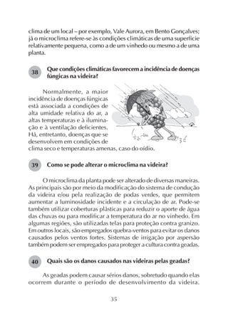 35
clima de um local – por exemplo, Vale Aurora, em Bento Gonçalves;
já o microclima refere-se às condições climáticas de uma superfície
relativamente pequena, como a de um vinhedo ou mesmo a de uma
planta.
Que condições climáticas favorecem a incidência de doenças
fúngicas na videira?
clima seco e temperaturas amenas, caso do oídio.
Como se pode alterar o microclima na videira?
O microclima da planta pode ser alterado de diversas maneiras.
As principais são por meio da modificação do sistema de condução
da videira e/ou pela realização de podas verdes, que permitem
aumentar a luminosidade incidente e a circulação de ar. Pode-se
também utilizar coberturas plásticas para reduzir o aporte de água
das chuvas ou para modificar a temperatura do ar no vinhedo. Em
algumas regiões, são utilizadas telas para proteção contra granizo.
Em outros locais, são empregados quebra-ventos para evitar os danos
causados pelos ventos fortes. Sistemas de irrigação por aspersão
também podem ser empregados para proteger a cultura contra geadas.
Quais são os danos causados nas videiras pelas geadas?
As geadas podem causar sérios danos, sobretudo quando elas
ocorrem durante o período de desenvolvimento da videira.
Normalmente, a maior
incidência de doenças fúngicas
está associada a condições de
alta umidade relativa do ar, a
altas temperaturas e à ilumina-
ção e à ventilação deficientes.
Há, entretanto, doenças que se
desenvolvem em condições de
38
39
40
 