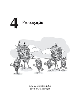 43
Gilmar Barcelos Kuhn
Jair Costa Nachtigal
4 Propagação
 