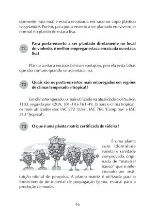 46
dormente (raiz nua) e estaca enraizada em saco ou copo plástico
(vegetando). Porém, para porta-enxerto a ser plantado em viveiro, o
normal é o plantio de estaca lisa.
Para porta-enxerto a ser plantado diretamente no local
do vinhedo, é melhor empregar estaca enraizada ou estaca
lisa?
Plantar a estaca enraizada é mais vantajoso, pois ela evita falhas
que são comuns quando se usa estaca lisa.
Quais são os porta-enxertos mais empregados em regiões
de climas temperado e tropical?
Em clima temperado, o mais utilizado na atualidade é o Paulsen
1103, seguido por 420A, 101-14 e 161-49. Já para o clima tropical,
os mais utilizados são: IAC 572 ‘Jales’, IAC 766 ‘Campinas’ e IAC
313 ‘Tropical’.
O que é uma planta matriz certificada de videira?
É uma planta
com identidade
varietal e sanidade
comprovada, origi-
nada de “material
básico” que é sele-
cionado por insti-
tuição oficial de pesquisa. A planta matriz é utilizada para o
fornecimento de material de propagação (gema, estaca) para a
produção de mudas.
71
72
73
 