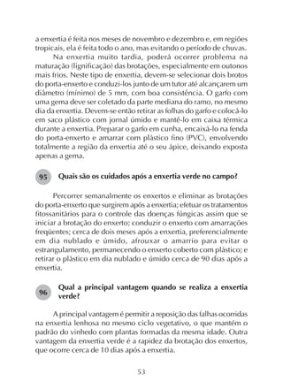 53
a enxertia é feita nos meses de novembro e dezembro e, em regiões
tropicais, ela é feita todo o ano, mas evitando o período de chuvas.
Na enxertia muito tardia, poderá ocorrer problema na
maturação (lignificação) das brotações, especialmente em outonos
mais frios. Neste tipo de enxertia, devem-se selecionar dois brotos
do porta-enxerto e conduzi-los junto de um tutor até alcançarem um
diâmetro (mínimo) de 5 mm, com boa consistência. O garfo com
uma gema deve ser coletado da parte mediana do ramo, no mesmo
dia da enxertia. Devem-se então retirar as folhas do garfo e colocá-lo
em saco plástico com jornal úmido e mantê-lo em caixa térmica
durante a enxertia. Preparar o garfo em cunha, encaixá-lo na fenda
do porta-enxerto e amarrar com plástico fino (PVC), envolvendo
totalmente a região da enxertia até o seu ápice, deixando exposta
apenas a gema.
Quais são os cuidados após a enxertia verde no campo?
Percorrer semanalmente os enxertos e eliminar as brotações
do porta-enxerto que surgirem após a enxertia; efetuar os tratamentos
fitossanitários para o controle das doenças fúngicas assim que se
iniciar a brotação do enxerto; conduzir o enxerto com amarrações
freqüentes; cerca de dois meses após a enxertia, preferencialmente
em dia nublado e úmido, afrouxar o amarrio para evitar o
estrangulamento, permanecendo o enxerto coberto com plástico; e
retirar o plástico em dia nublado e úmido cerca de 90 dias após a
enxertia.
Qual a principal vantagem quando se realiza a enxertia
verde?
A principal vantagem é permitir a reposição das falhas ocorridas
na enxertia lenhosa no mesmo ciclo vegetativo, o que mantém o
padrão do vinhedo com plantas formadas da mesma idade. Outra
vantagem da enxertia verde é a rapidez da brotação dos enxertos,
que ocorre cerca de 10 dias após a enxertia.
95
96
 