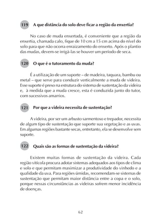 62
A que distância do solo deve ficar a região da enxertia?
No caso de muda enxertada, é conveniente que a região da
enxertia, chamada calo, fique de 10 cm a 15 cm acima do nível do
solo para que não ocorra enraizamento do enxerto. Após o plantio
das mudas, devem-se irrigá-las se houver um período de seca.
O que é o tutoramento da muda?
É a utilização de um suporte – de madeira, taquara, bambu ou
metal – que serve para conduzir verticalmente a muda de videira.
Esse suporte é preso na estrutura do sistema de sustentação da videira
e, à medida que a muda cresce, esta é conduzida junto do tutor,
com sucessivos amarrios.
Por que a videira necessita de sustentação?
A videira, por ser um arbusto sarmentoso e trepador, necessita
de algum tipo de sustentação que suporte sua vegetação e as uvas.
Em algumas regiões bastante secas, entretanto, ela se desenvolve sem
suporte.
Quais são as formas de sustentação da videira?
Existem muitas formas de sustentação da videira. Cada
região vitícola procura adotar sistemas adequados aos tipos de clima
e solo e que permitam maximizar a produtividade do vinhedo e a
qualidade da uva. Para regiões úmidas, recomendam-se sistemas de
sustentação que permitam maior distância entre a copa e o solo,
porque nessas circunstâncias as videiras sofrem menor incidência
de doenças.
119
120
121
122
 