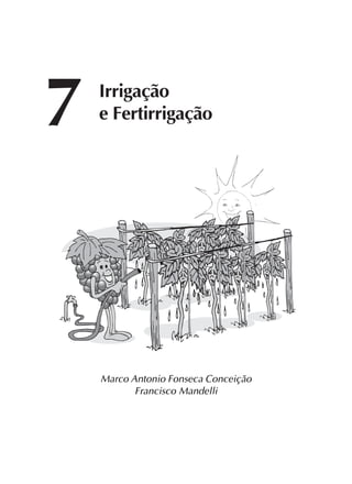 85
Marco Antonio Fonseca Conceição
Francisco Mandelli
7 Irrigação
e Fertirrigação
 