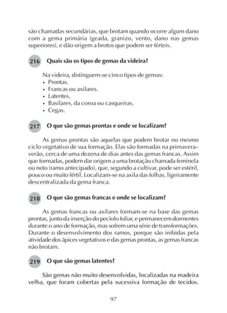 97
são chamadas secundárias, que brotam quando ocorre algum dano
com a gema primária (geada, granizo, vento, dano nas gemas
superiores), e dão origem a brotos que podem ser férteis.
Quais são os tipos de gemas da videira?
Na videira, distinguem-se cinco tipos de gemas:
• Prontas.
• Francas ou axilares.
• Latentes.
• Basilares, da coroa ou casqueiras.
• Cegas.
O que são gemas prontas e onde se localizam?
As gemas prontas são aquelas que podem brotar no mesmo
ciclo vegetativo de sua formação. Elas são formadas na primavera–
verão, cerca de uma dezena de dias antes das gemas francas. Assim
que formadas, podem dar origem a uma brotação chamada feminela
ou neto (ramo antecipado), que, segundo a cultivar, pode ser estéril,
pouco ou muito fértil. Localizam-se na axila das folhas, ligeiramente
descentralizada da gema franca.
O que são gemas francas e onde se localizam?
As gemas francas ou axilares formam-se na base das gemas
prontas, junto da inserção do pecíolo foliar, e permanecem dormentes
durante o ano de formação, mas sofrem uma série de transformações.
Durante o desenvolvimento dos ramos, porque são inibidas pela
atividade dos ápices vegetativos e das gemas prontas, as gemas francas
não brotam.
O que são gemas latentes?
São gemas não muito desenvolvidas, localizadas na madeira
velha, que foram cobertas pela sucessiva formação de tecidos.
216
217
218
219
 